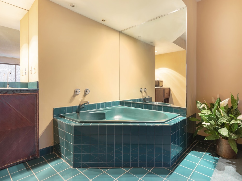 Americas Best Value Inn Springfield - Mansion View 24/47