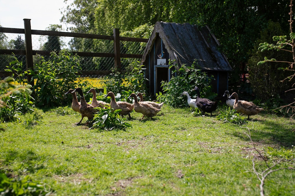 Brookhall Cottages 43/50