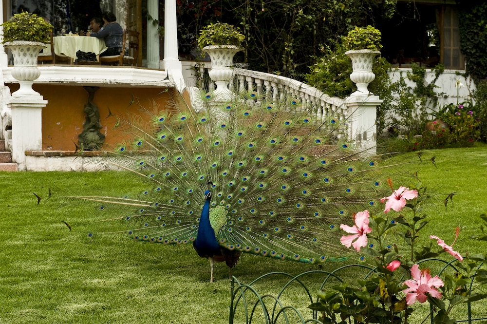 LA MIRAGE GARDEN HOTEL & SPA 54/55