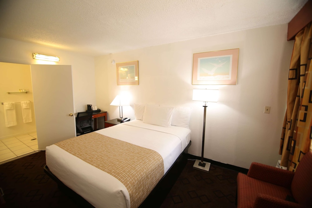 Room, Queen Bed, Accessible