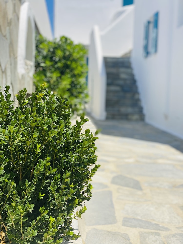 Cyclades Studios 38/49