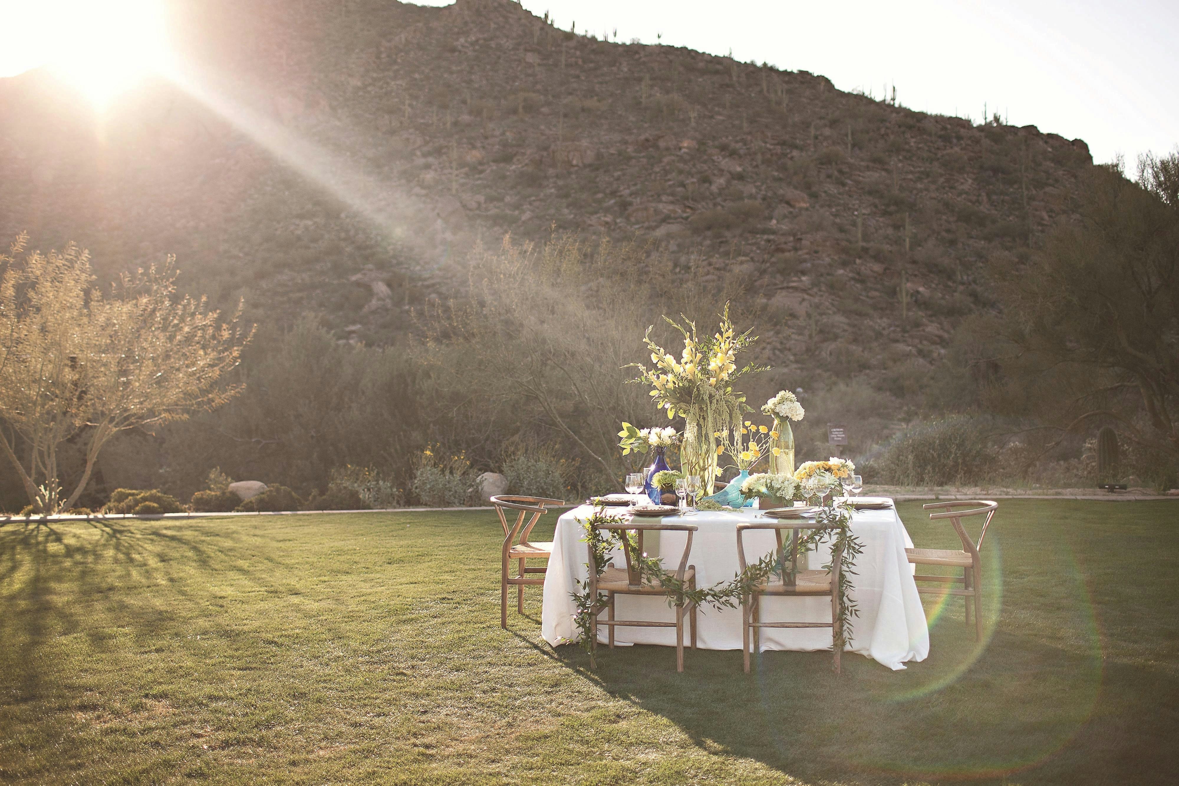 The Ritz Carlton Dove Mountain 46/51