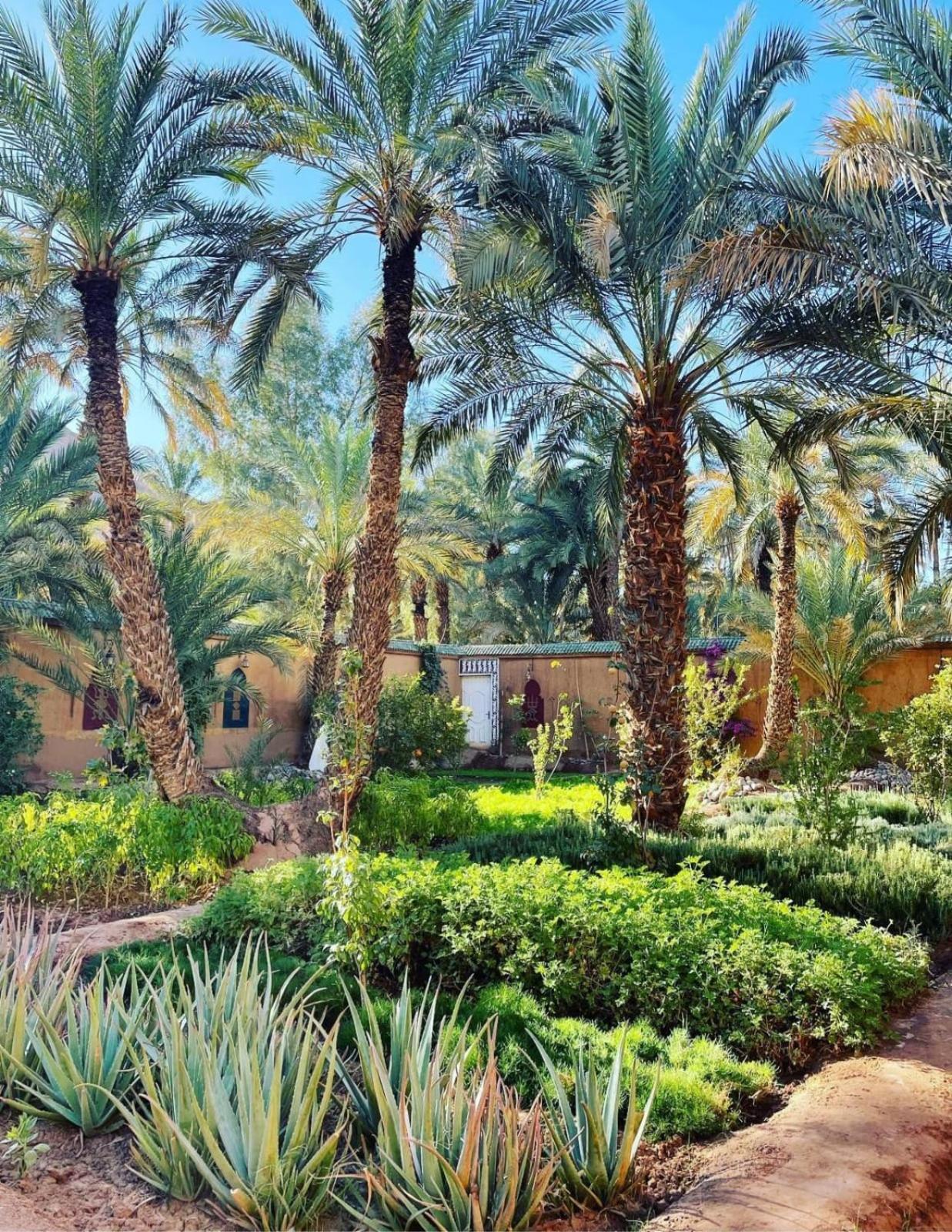 Riad Dar Soufiane 50/59