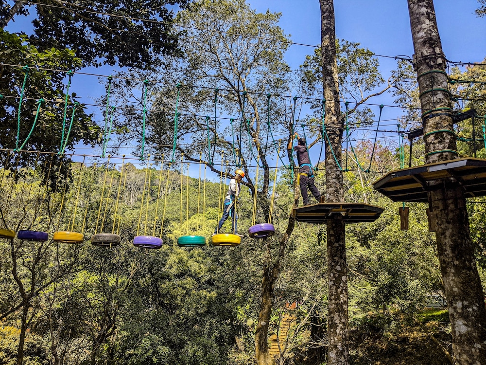 Coorg Wilderness Resort & Spa 46/50