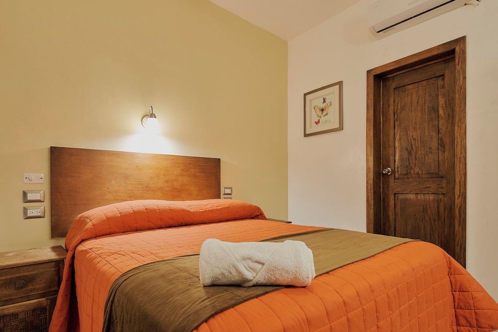 Hotel Cervantino 15/50