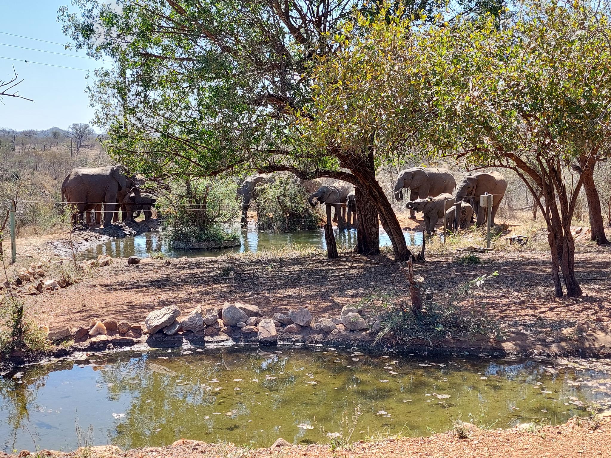 Phomola Manor 14/19