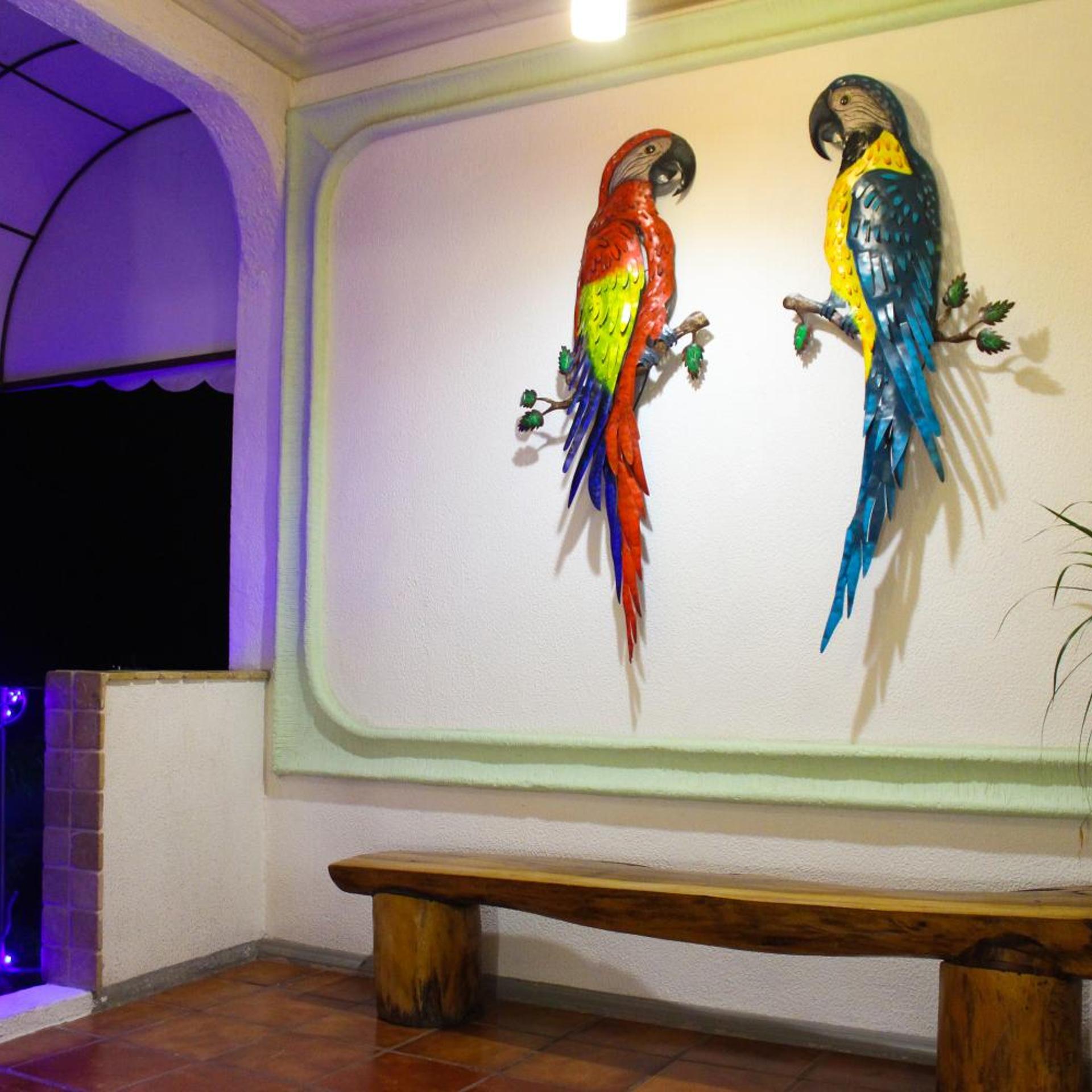 Hotel Careyes Puerto Escondido 11/50