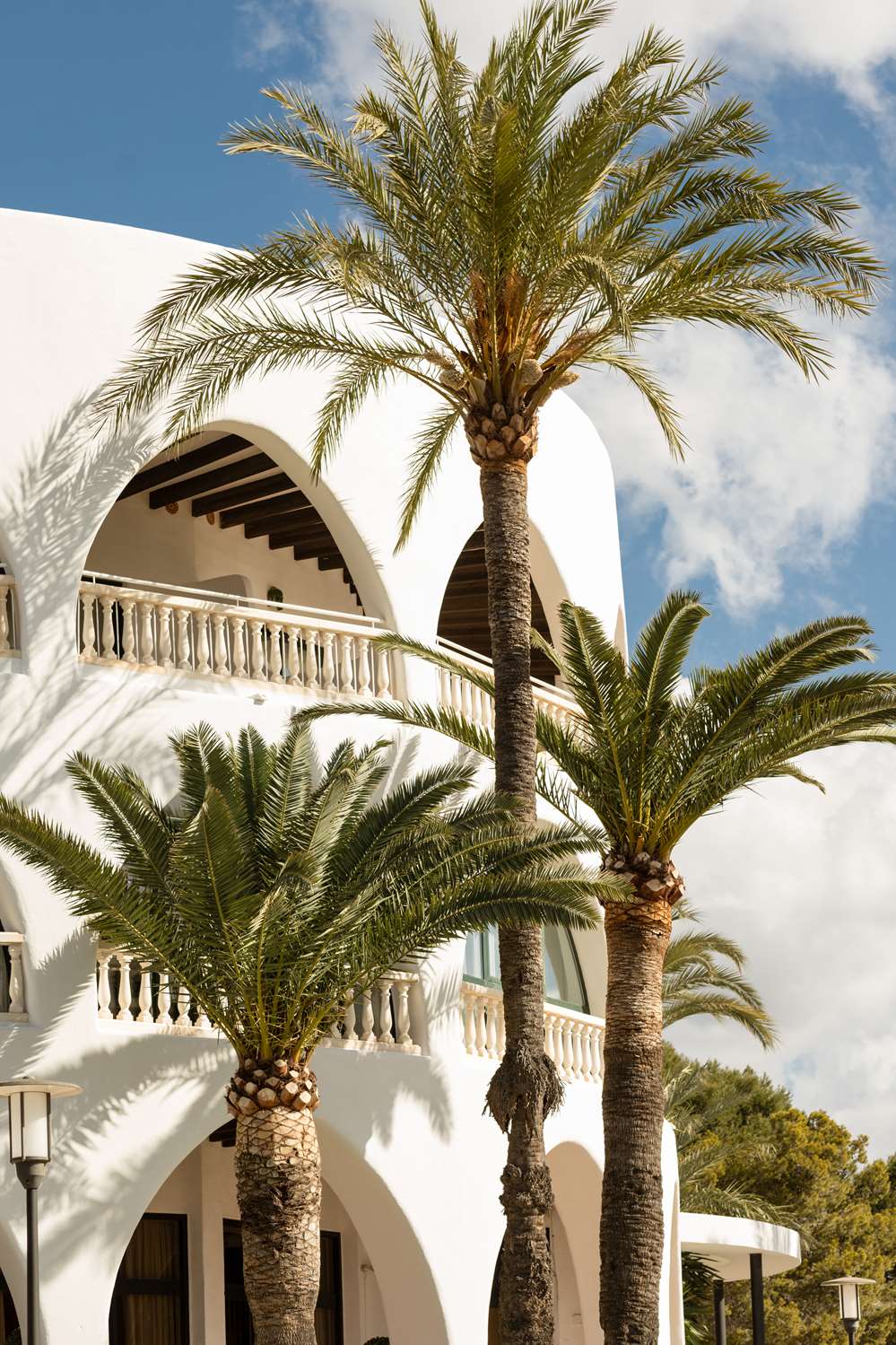 Hilton Mallorca Galatzo 37/44