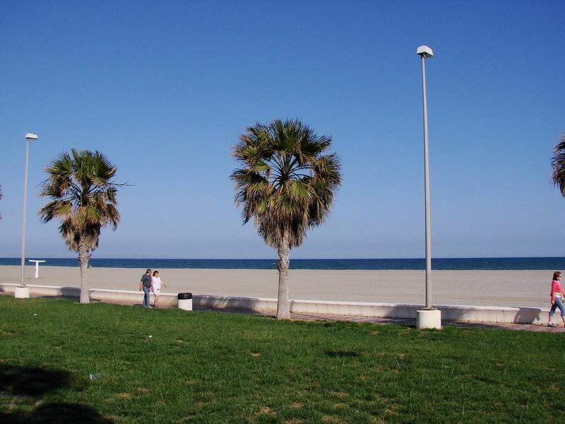 Estrella de Mar 8/15