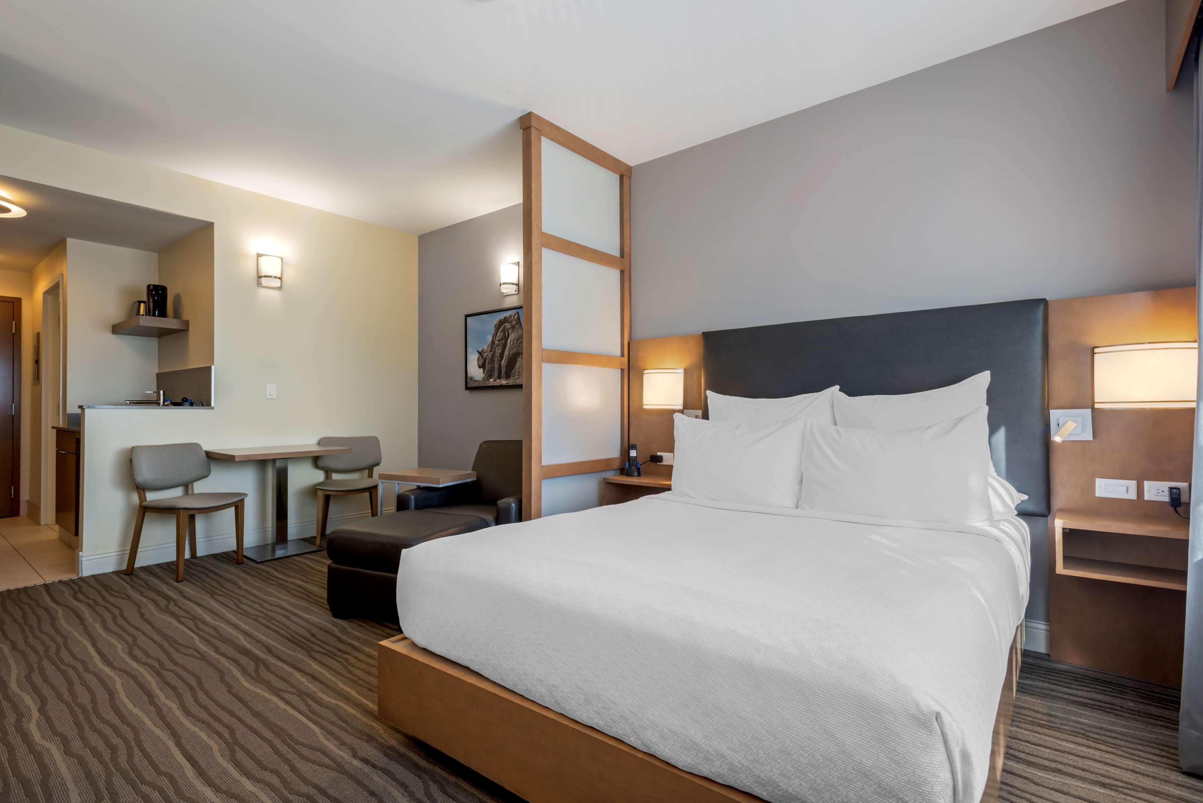 Suite, King Bed