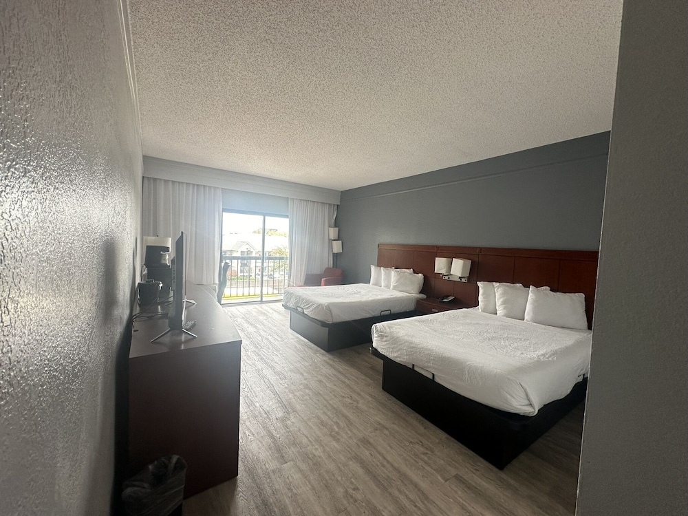 Super 8 by Wyndham Dallas Love Field Airport 26/60