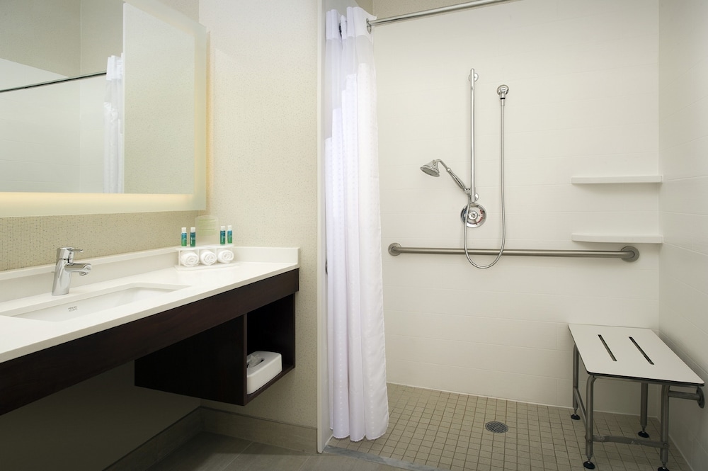 HOLIDAY INN EXPRESS & SUITES CHARLOTTESVILLE - RUCKERSVILLE 14/54