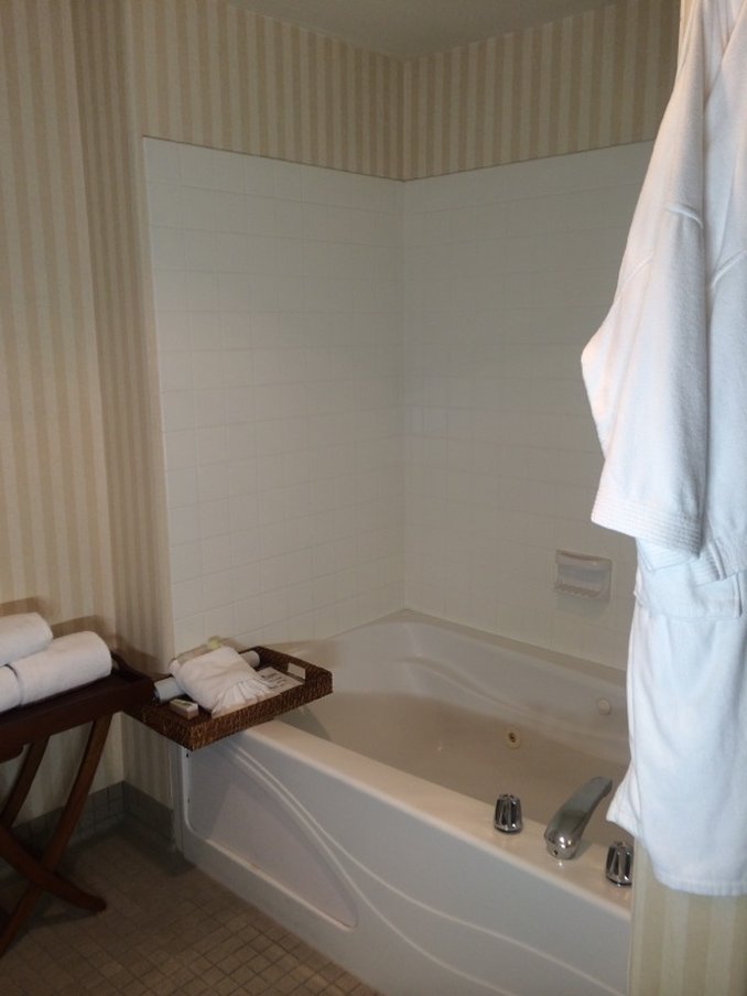 Holiday Inn Selma-Swancourt 64/65
