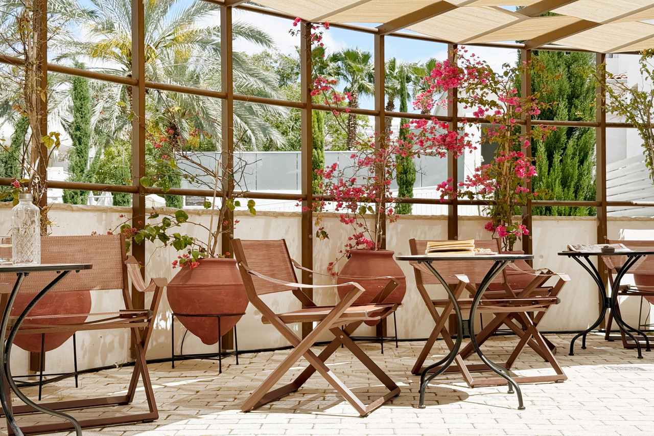 King Jason Paphos - Designed for Adults 8/10