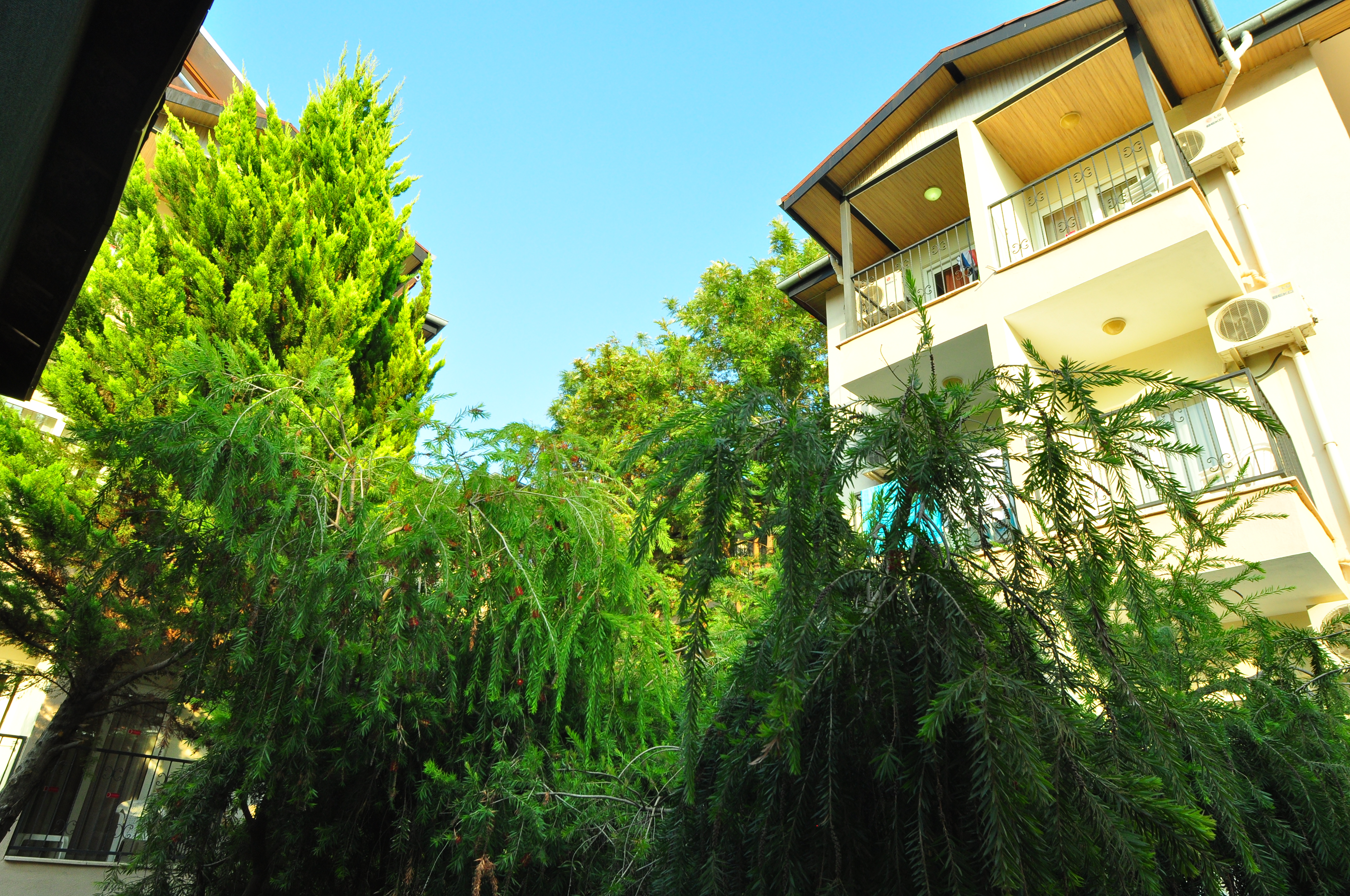 Alessia Hotel and Spa 10/50