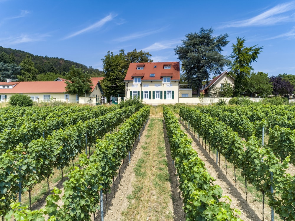 Halbersbacher. Hotel Annaberg 38/50