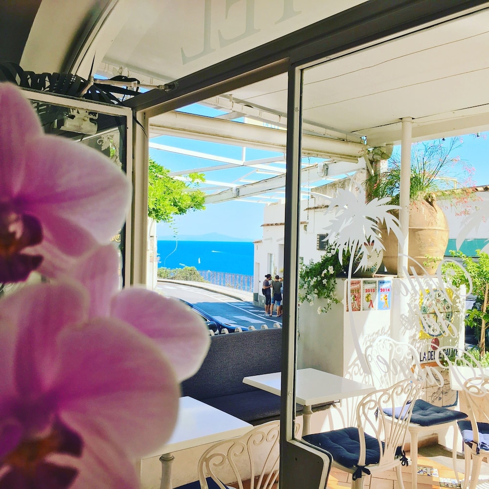 Villa Delle Palme Hotel 25/50