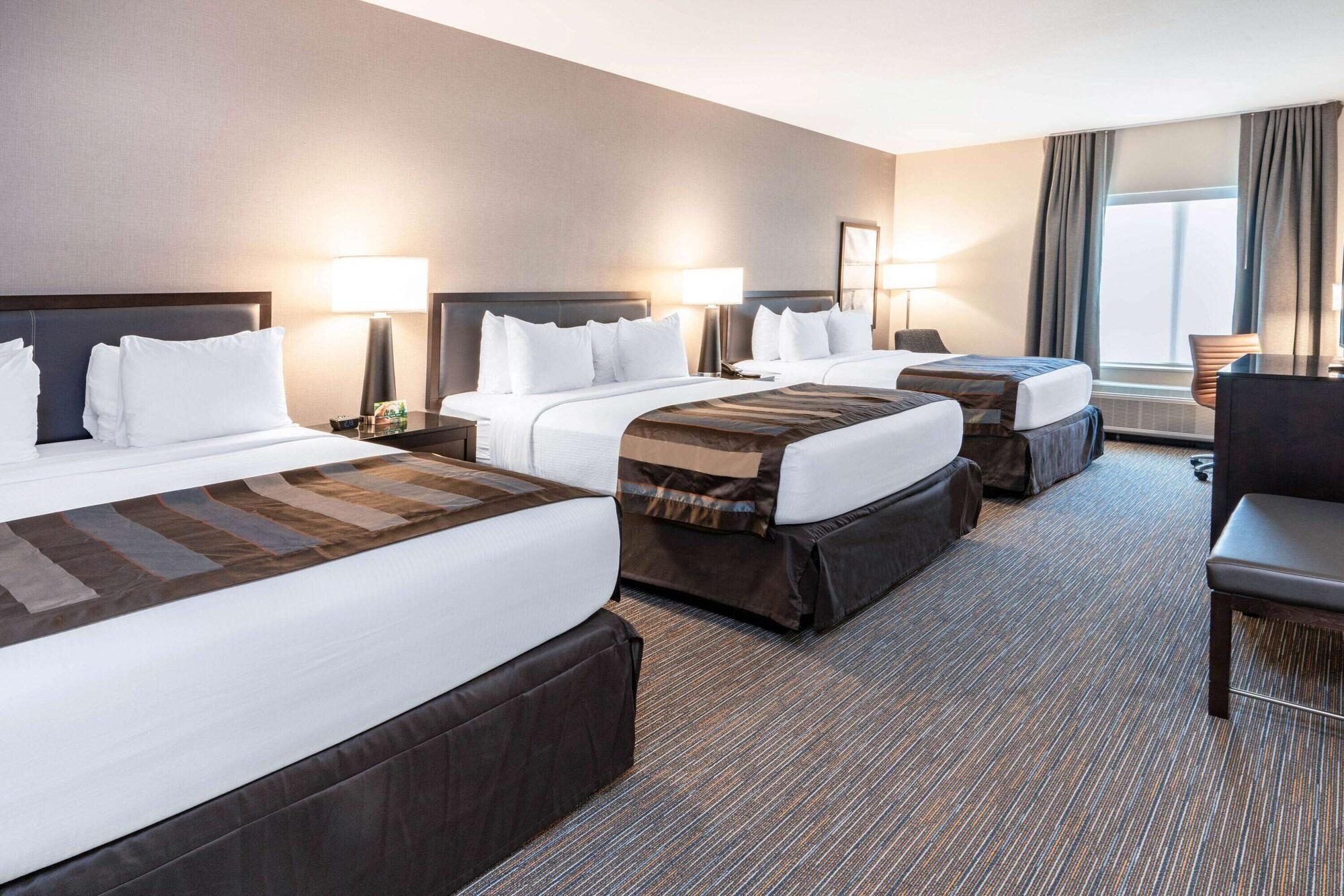 Room, Multiple Beds