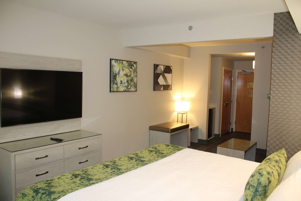 Best Western Premier I-95 Savannah Airport/ Pooler West 9/34
