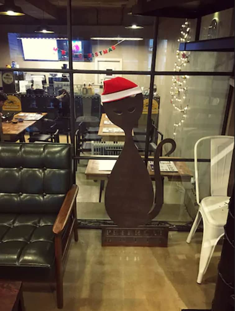 Petercat Hotel Hongdae 39/47