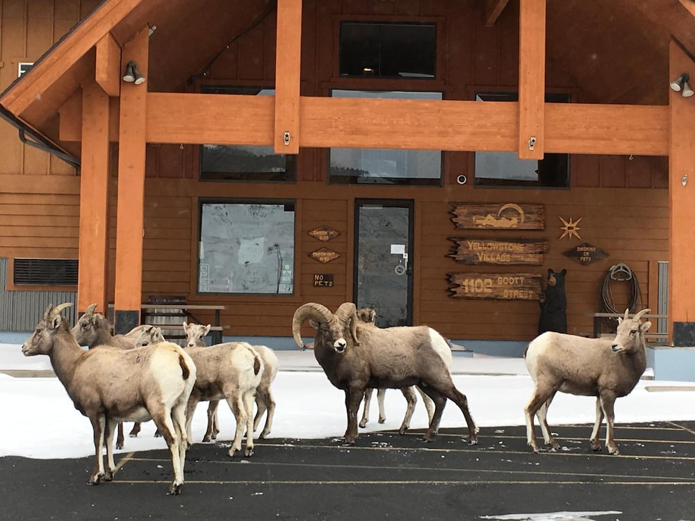 Yellowstone Village Inn and Suites 16/36