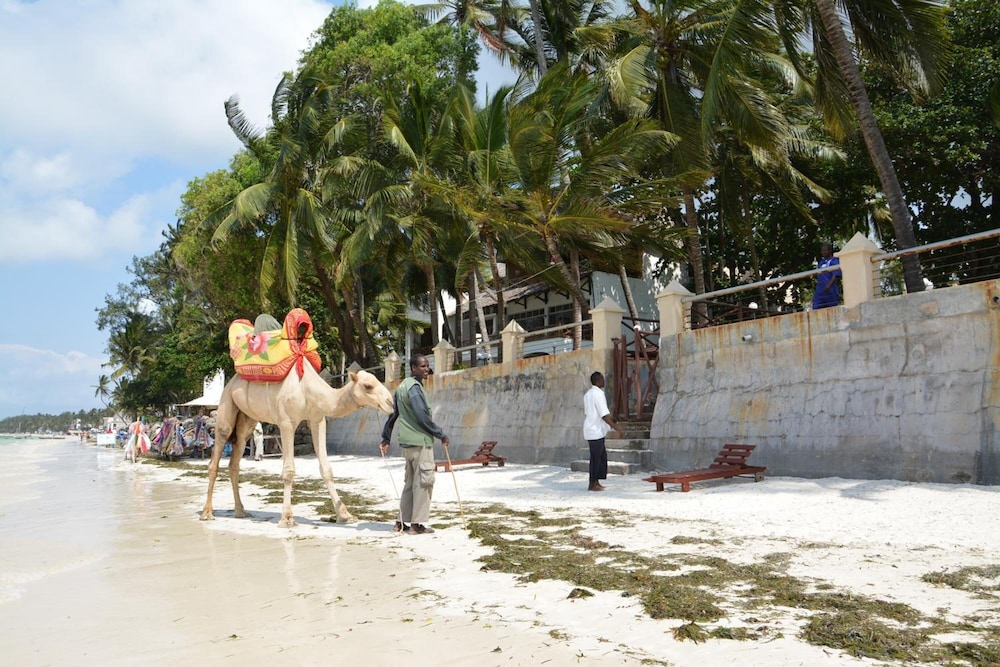 Neptune Beach Resort All Inclusive 24/32