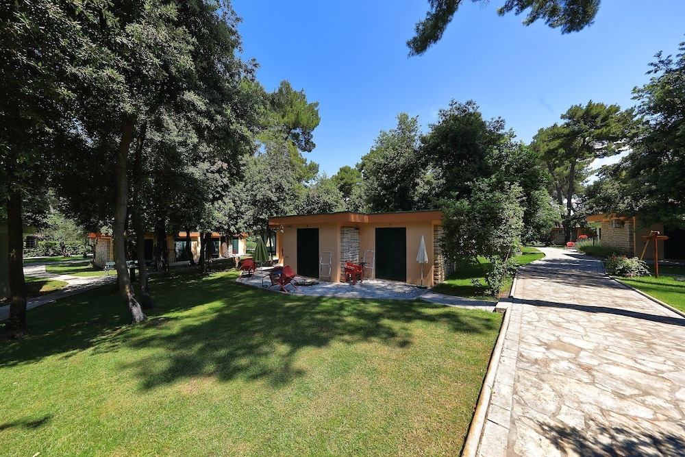 surroundings