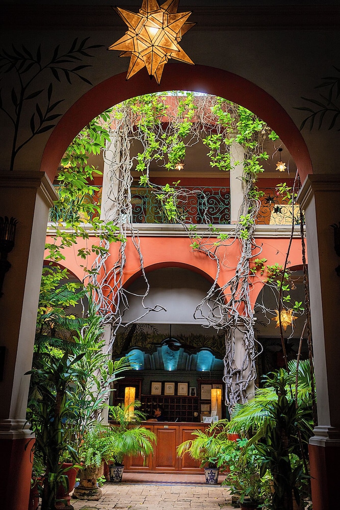 Hotel Casa San Angel 11/68