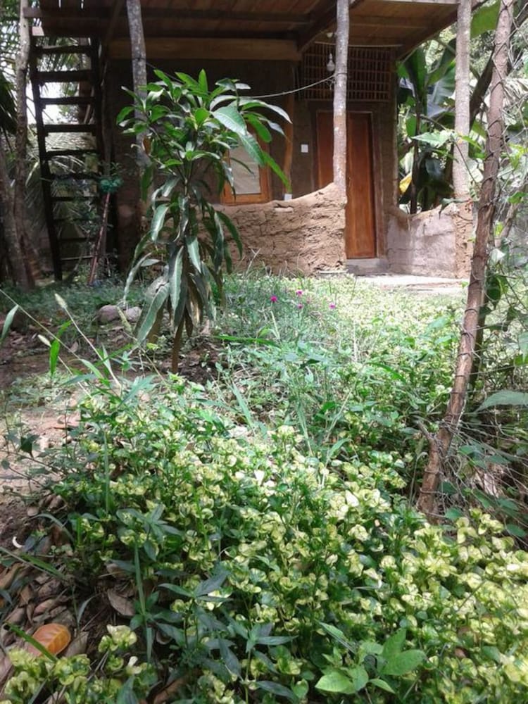Green Leaf Cabanas 14/16