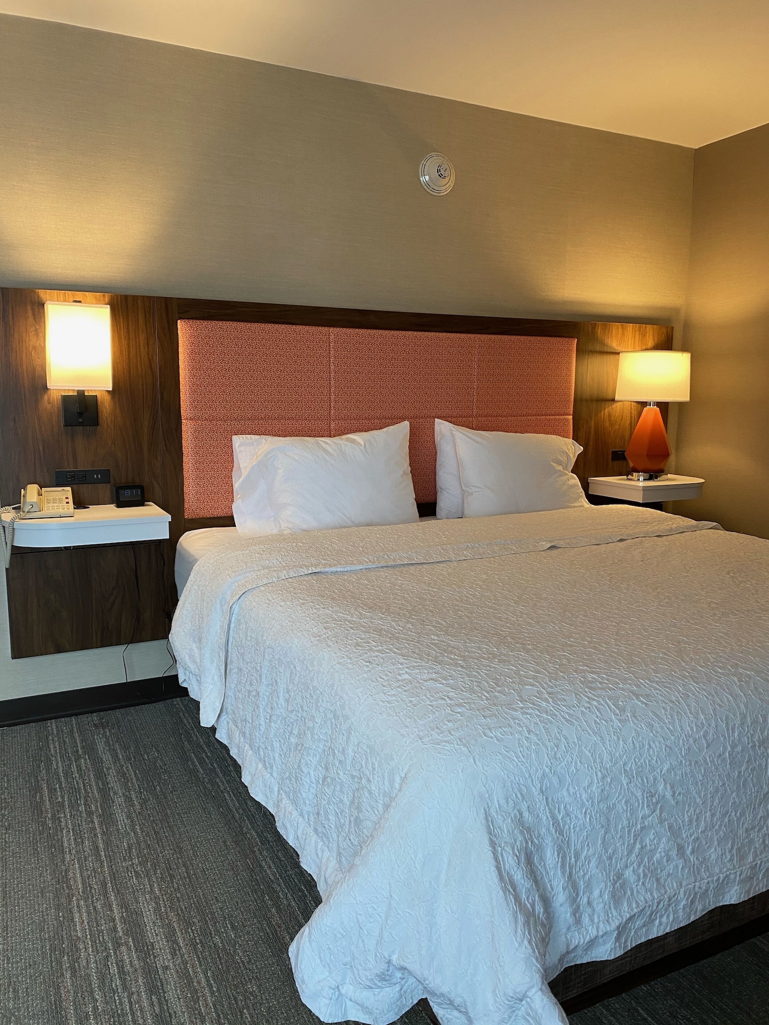 Room, King Bed, Murphy Bed، Hampton Inn Princeton, NJ 5/9
