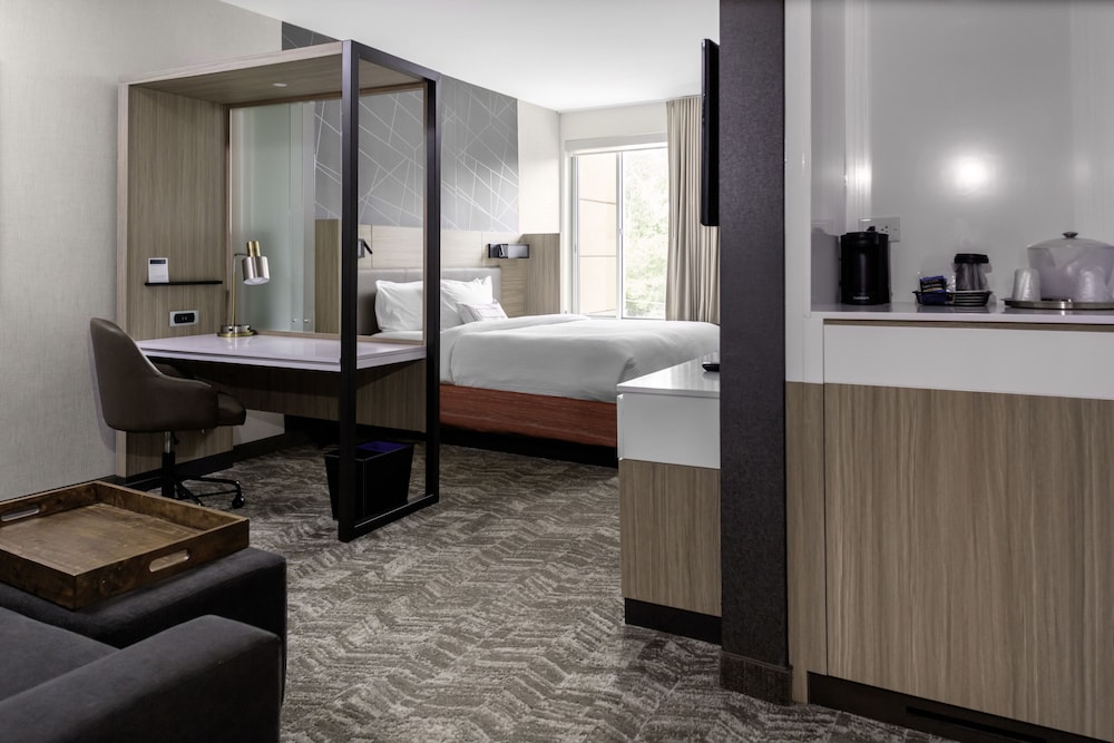 SpringHill Suites by Marriott Suwanee Johns Creek 6/46