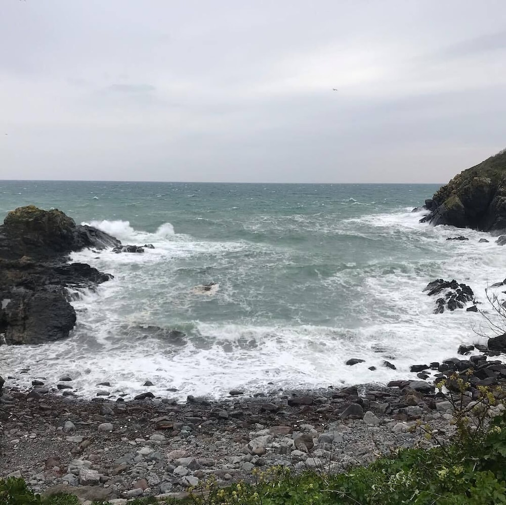 Cadgwith Cove Inn 33/50