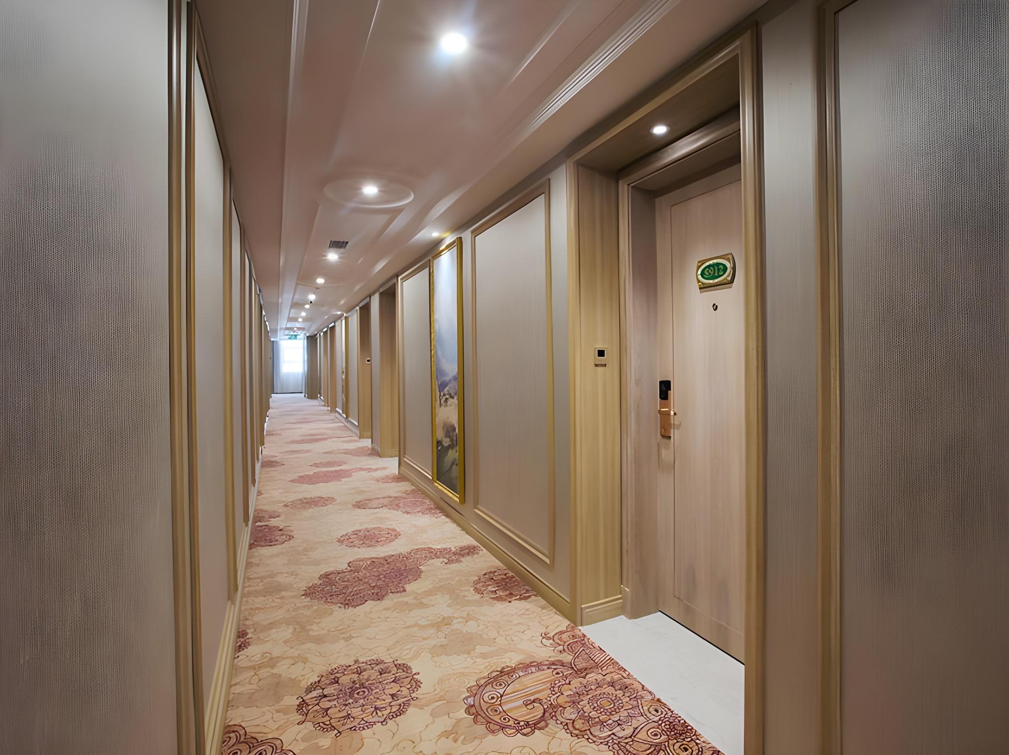 Vienna International Hotel (Mianyang High Speed Railway Station) 33/49