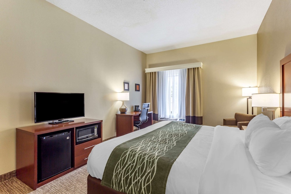 Comfort Inn & Suites Cave City 7/38