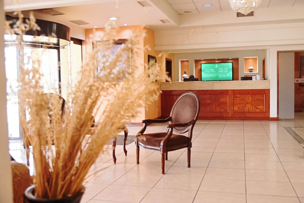 Sicomoro Hotel 9/50