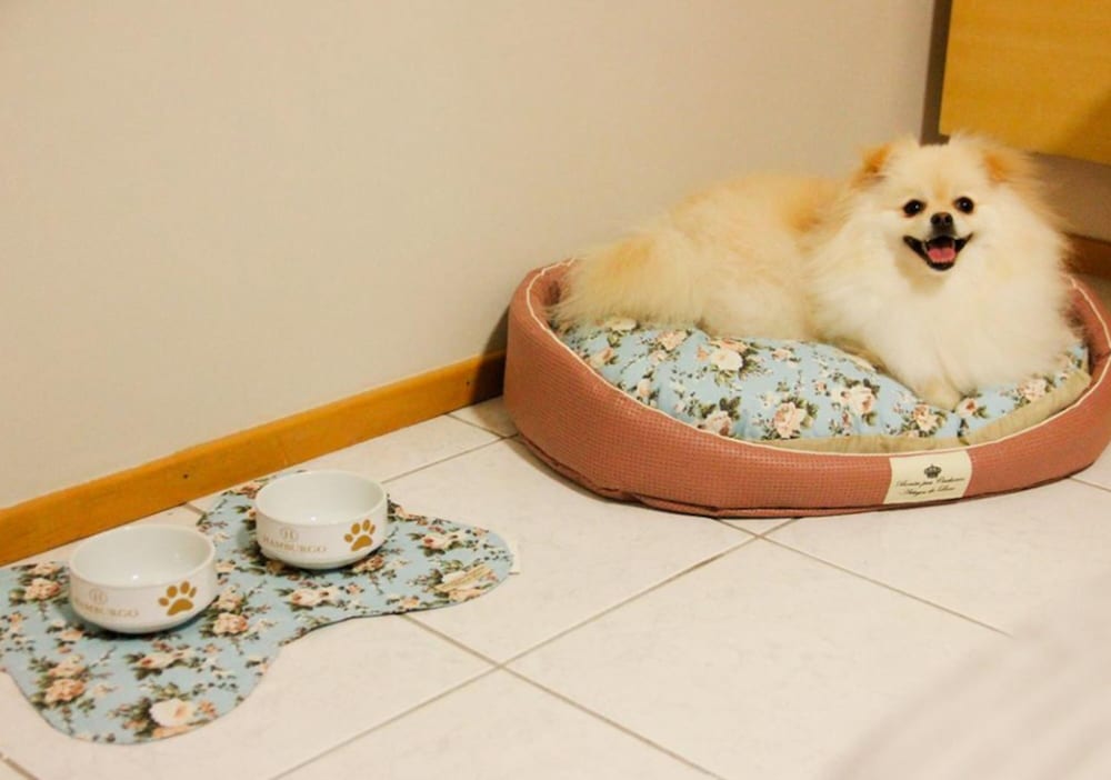 ハンブルゴ パレス ホテル 写真4