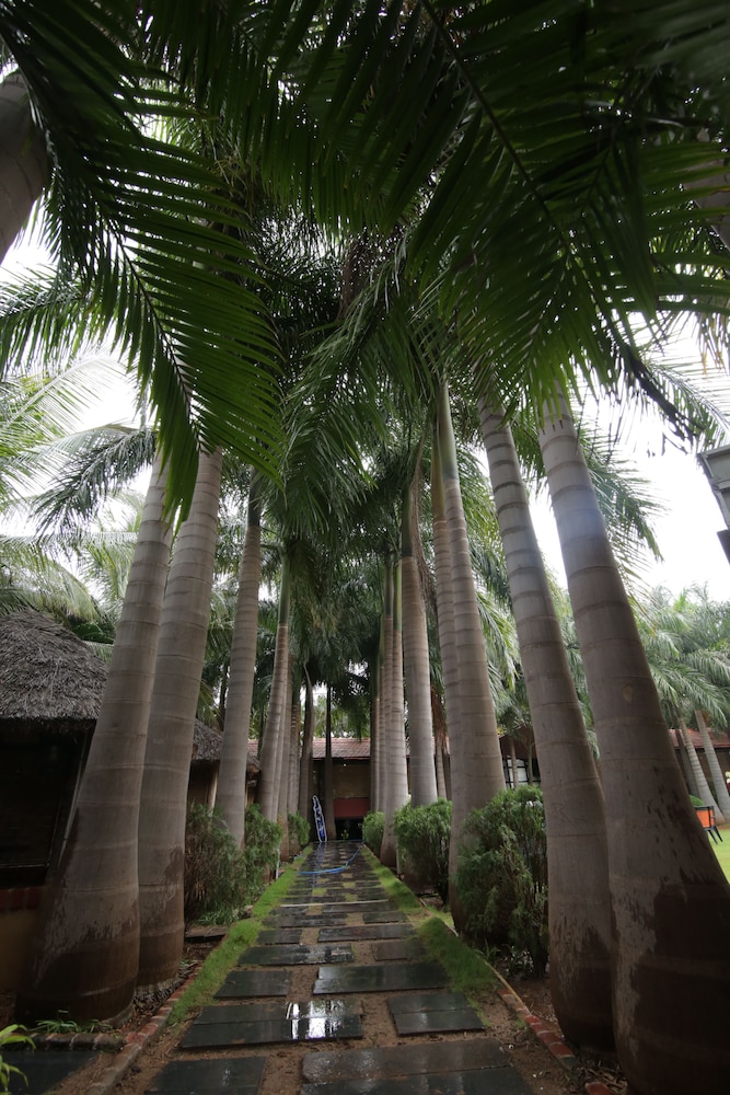 Hotel Hampi International 32/36
