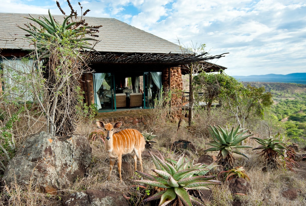 Leopard Mountain Safari Lodge 2/74