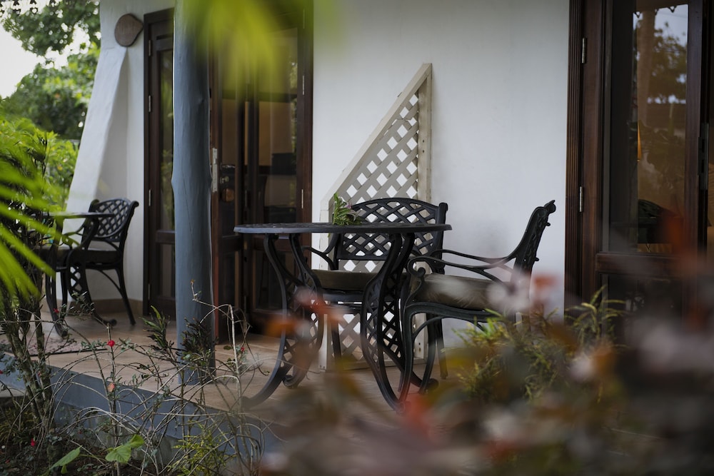 Auberge Chez Plume 37/50