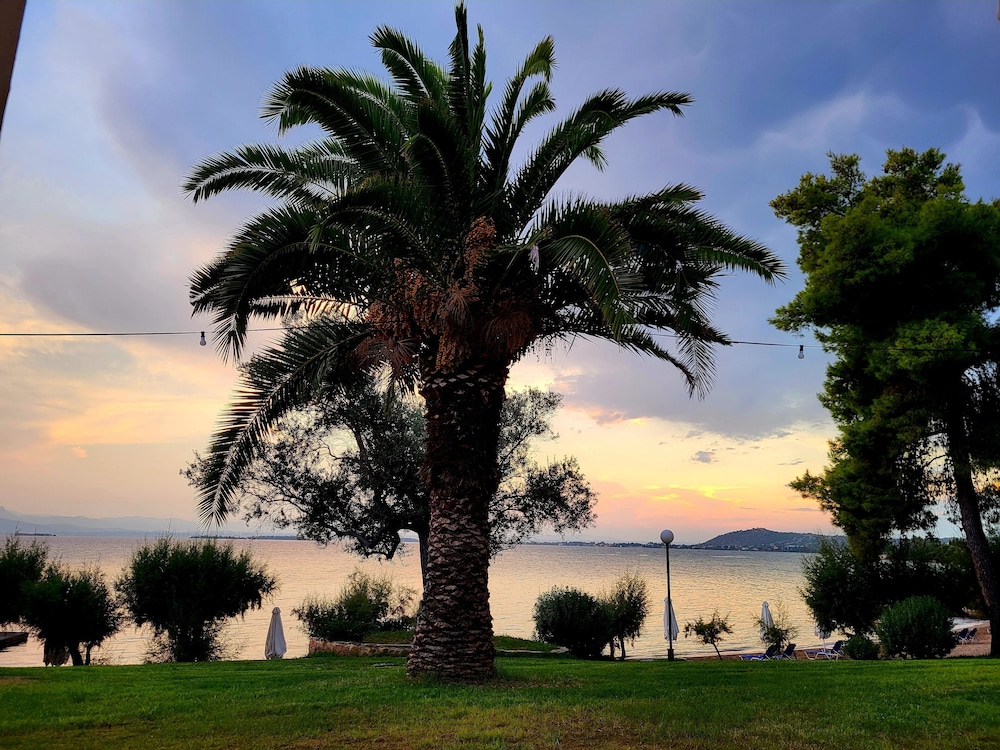 Paradise Resort Evia - A Member of Radisson Individuals 31/42