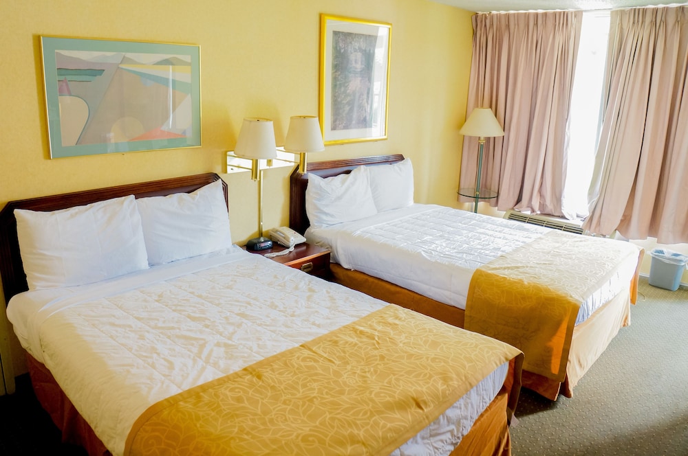 Glh Hotel 23/54