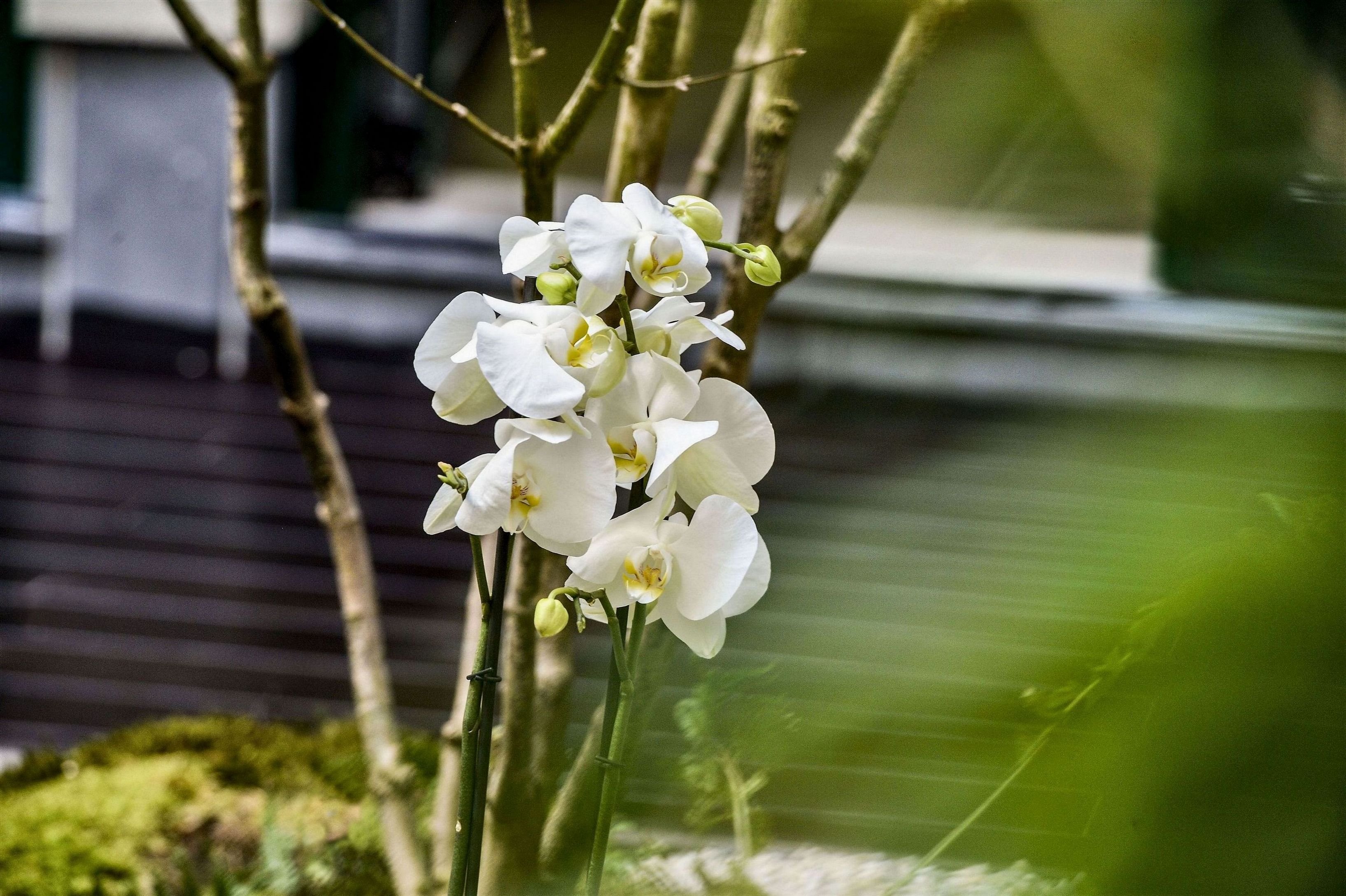 Hotel Yadoya 23/36