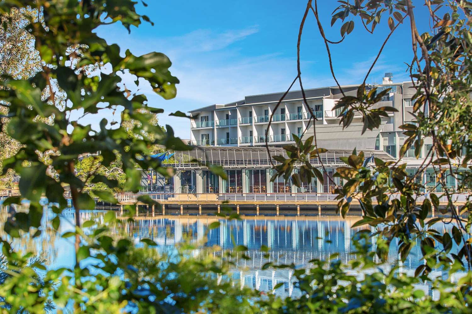 Best Western Plus North Lakes Hotel 5/50