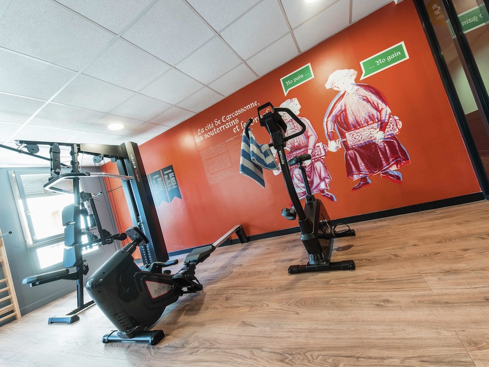Ibis Styles Carcassonne La Cite 44/79