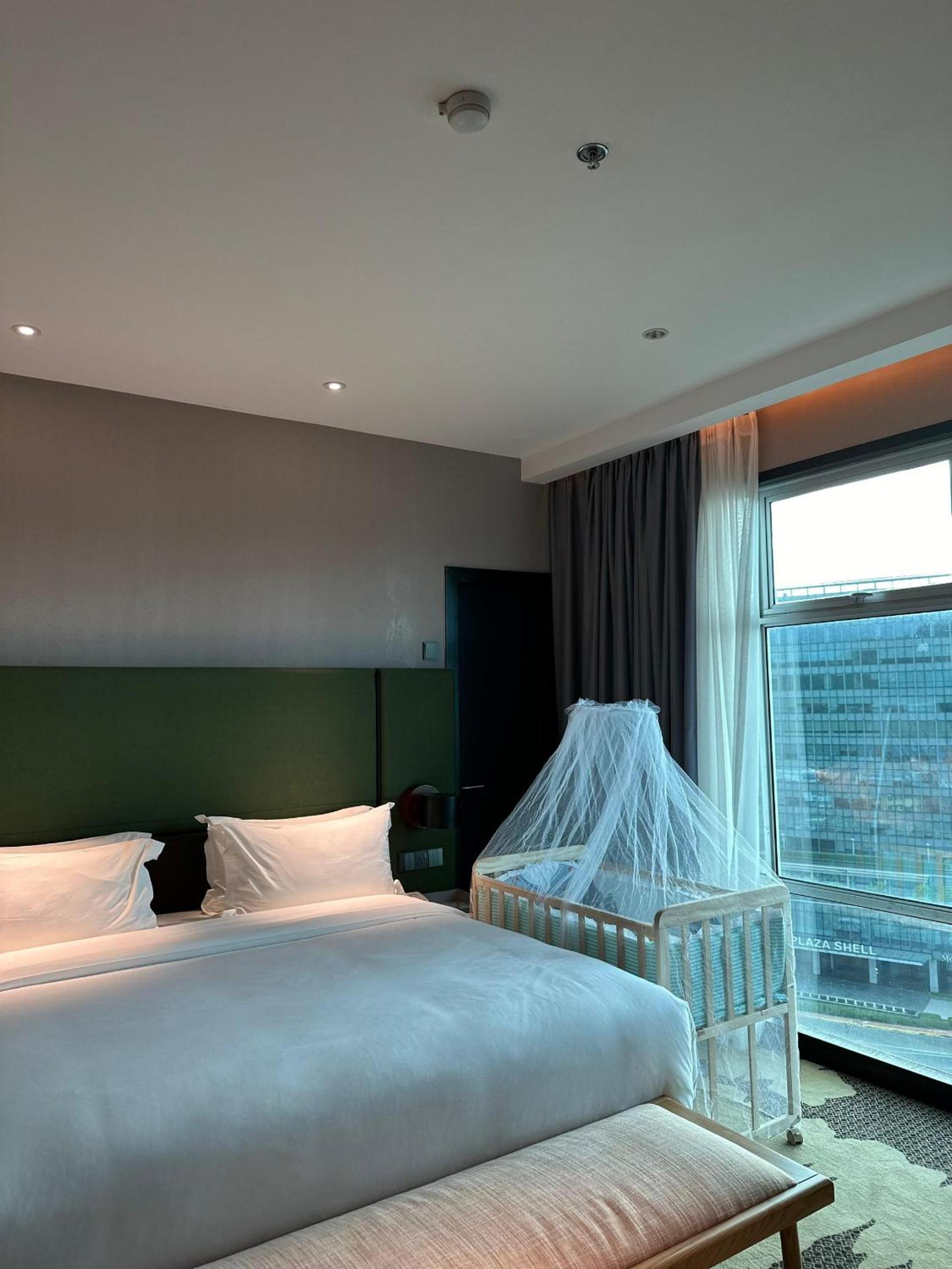 King Park Hotel 13/50