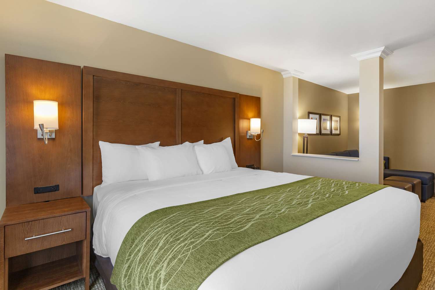 Efficiency, Suite, King Bed