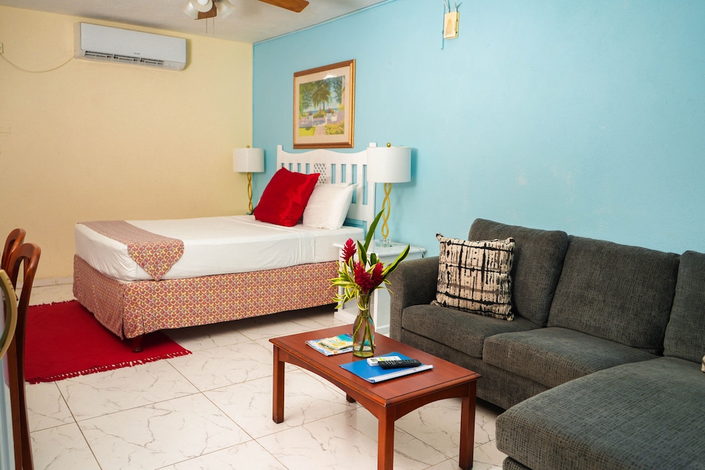 Palm Garden Hotel 22/50
