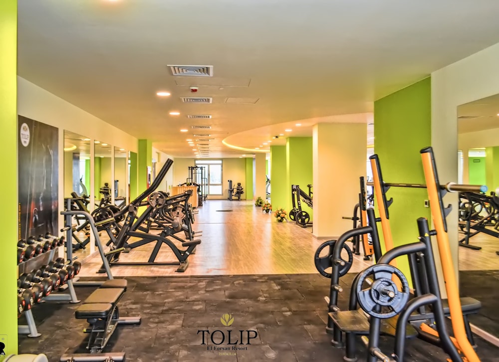 Tolip Elforsan Ismailia 21/50