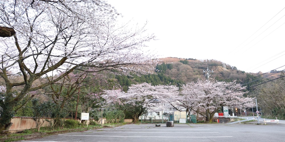 Hanatsubaki 65/67