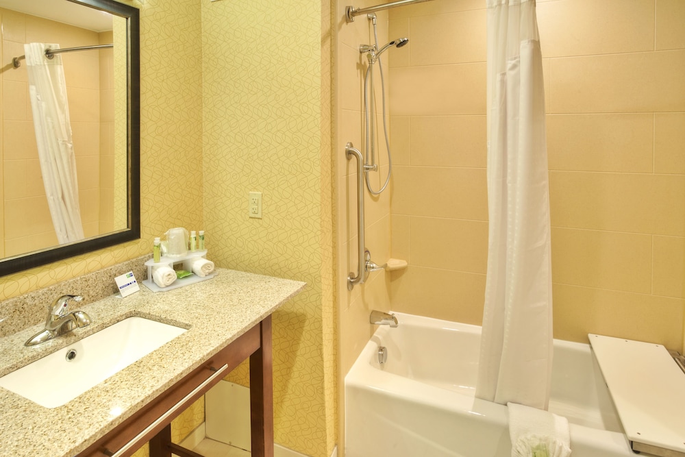 Holiday Inn Express Hotel Suites Frankenmuth 13/41